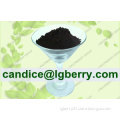 Factory supply organic black currant extract